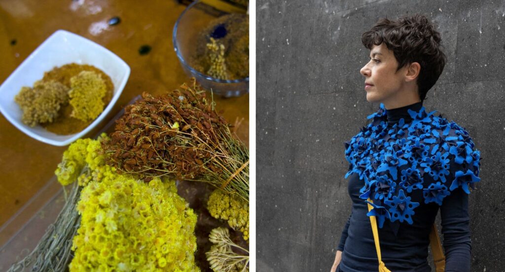 Dry plants and yarn that sparked Silvia Brandi's hands-on journey.